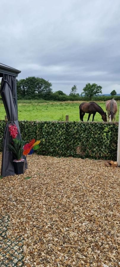 Boutique Country House B + B Crumlin  Extérieur photo